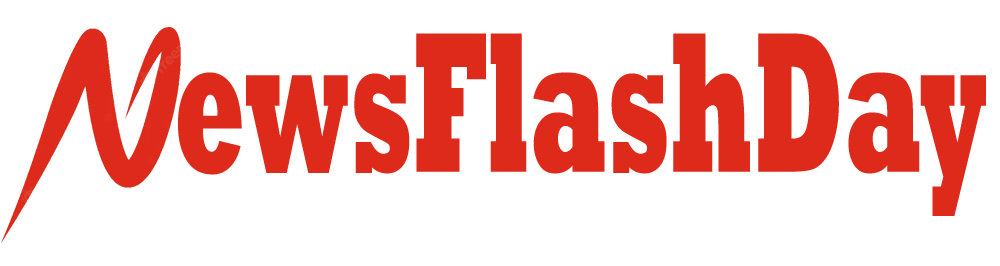 newsflashday logo